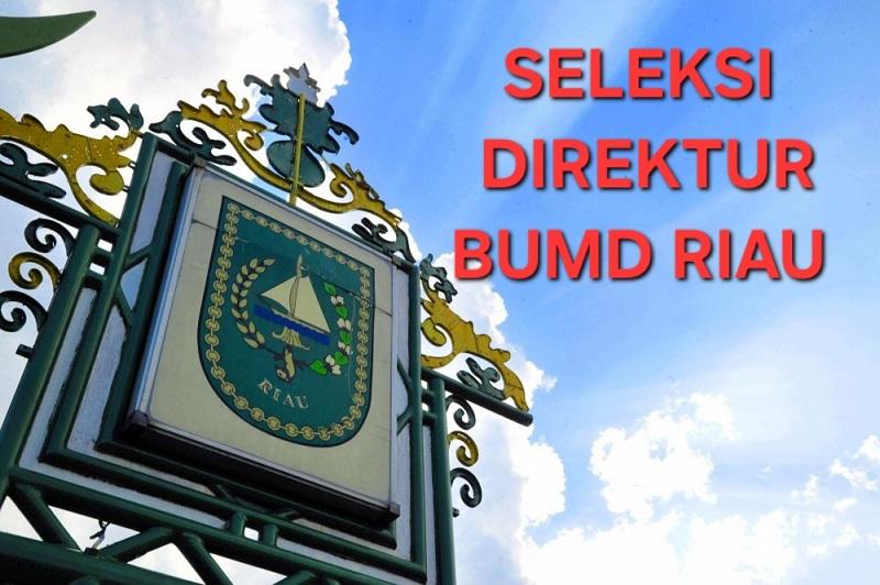 Dibuka, Pemprov Seleksi Direksi PT Riau Petroleum, PER, Jamkrida dan SPR