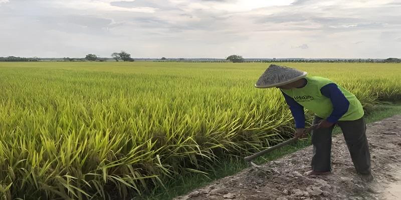 Dari 51 Kabupaten/Kota, Siak Wakil Tunggal Riau Raih Penghargaan Pangan Aman BPOM