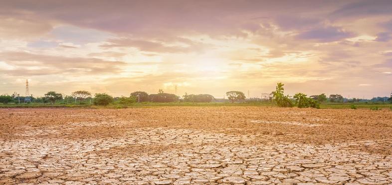 El Nino Diprediksi Juni 2026, Pemprov Riau Tingkatkan Kewaspadaan di Wilayah Rawan Kekeringan