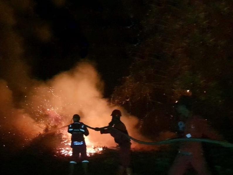 Sampai Larut, Tim Manggala Agni Sisir Sisa Karhutla yang Dekati Permukiman Desa Kembung Luar