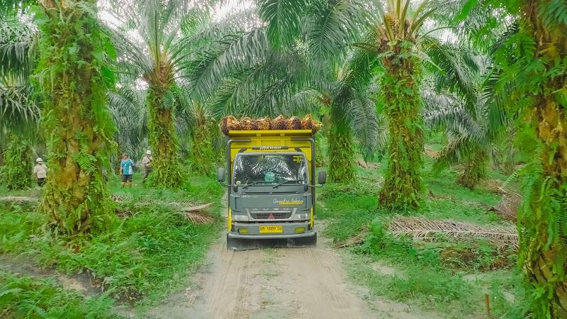 2.500 Petani Sawit Sudah Jadi Mitra PTPN V PalmCo, Bambang; Kami Dukung Soal Produktivitas