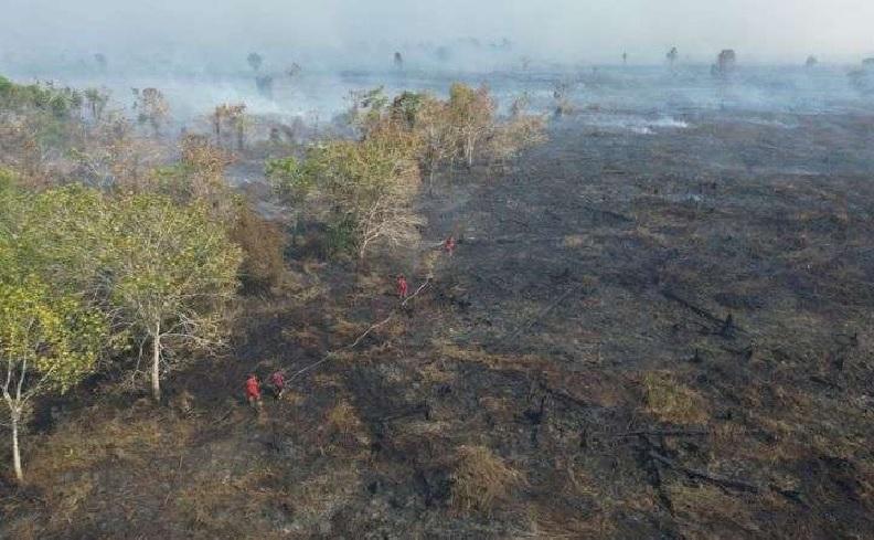 Semua Titik Api Padam, Karhutla Riau Resmi Nihil di Seluruh Kabupaten/Kota