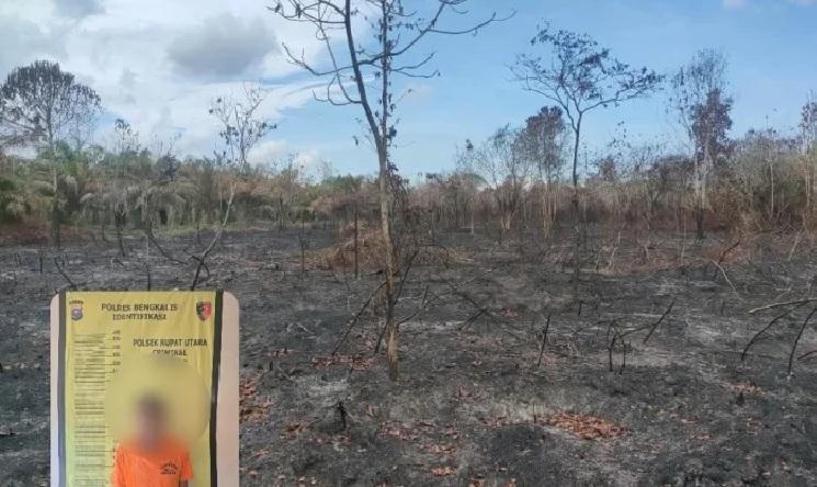 Polisi Ringkus Dalang Karhutla Rupat Utara, 35 Hektare Hutan Produksi di Bengkalis Hangus
