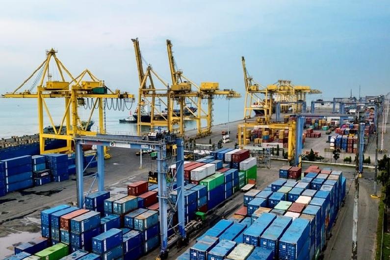 CPO Dongkrak Ekspor Riau Awal 2026, Jadi Penyumbang Terbesar dengan Kontribusi Hampir 64%