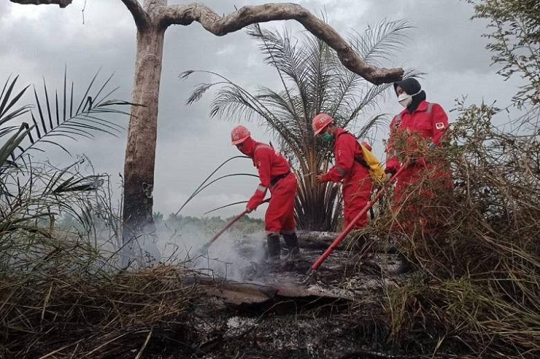 Dua Titik Karhutla di Rohil dan Pelalawan Berhasil Dipadamkan, Tim Masih Siaga Cegah Api Baru