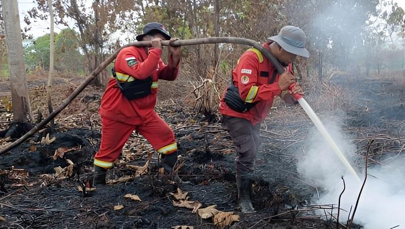Hari Ketiga Operasi Karhutla di Pelalawan, Dua Titik Api di Kecamatan Kuala Kampar Akhirnya Padam