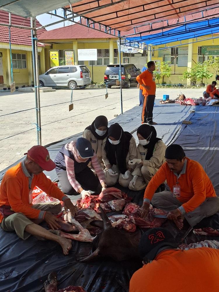 Pengawasan Kurban Diperketat, Dinas PKH Riau Terjunkan Petugas dan Mahasiswa Pantau 33 Lokasi Pemotongan
