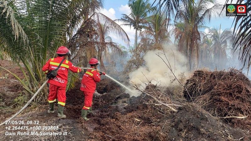 Karhutla di Riau Meluas, 28 Hektare Lahan Gambut Terbakar di Rohil dan Siak