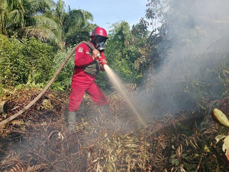 Api Masih Aktif di Tanjung Kapal Pulau Rupat, Pemadaman Karhutla Diperkuat dari Darat dan Udara