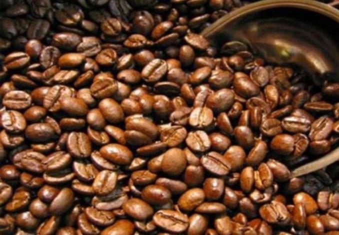 Perubahan Iklim Ancam Produksi Kopi Dunia, Liberika Meranti Berpeluang Kuasai Pasar