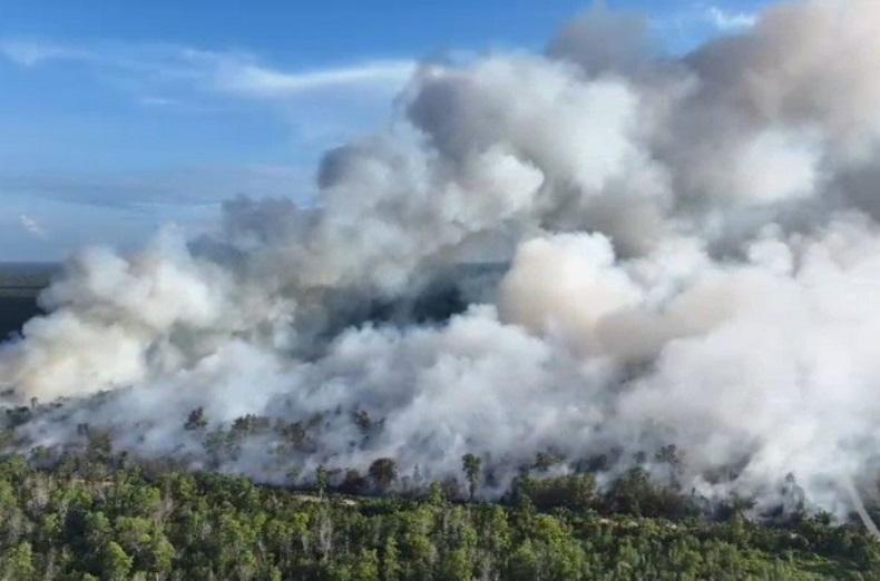602 Titik Panas Kepung Sumatra, 75 Hotspot Karhutla Terdeteksi di Riau