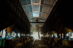 Meningkat, Palm Kernel Oil PTPN IV PalmCo Tembus 115.000 Ton Sepanjang 2025