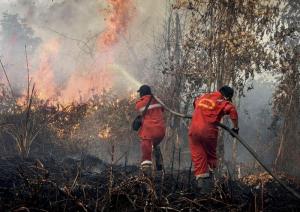 Siaga Karhutla Riau Diberlakukan, Sudah Lima Daerah Tetapkan Status Darurat