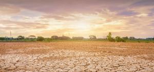 El Nino Diprediksi Juni 2026, Pemprov Riau Tingkatkan Kewaspadaan di Wilayah Rawan Kekeringan