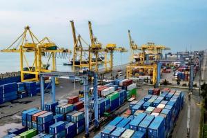 CPO Dongkrak Ekspor Riau Awal 2026, Jadi Penyumbang Terbesar dengan Kontribusi Hampir 64%