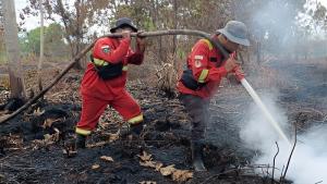 Hari Ketiga Operasi Karhutla di Pelalawan, Dua Titik Api di Kecamatan Kuala Kampar Akhirnya Padam