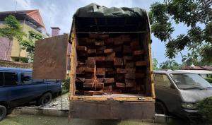 Polda Riau Bongkar Dugaan Perusakan Hutan Giam Siak Kecil, Sopir Truk Kayu Diamankan