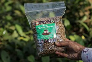 Perubahan Iklim Ancam Produksi Kopi Dunia, Liberika Meranti Berpeluang Kuasai Pasar