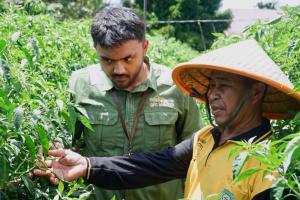 Dibina RAPP, Kelompok Tani Asa Baru Tumbuh dari Nol hingga Miliki Lahan Sendiri