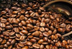 Perubahan Iklim Ancam Produksi Kopi Dunia, Liberika Meranti Berpeluang Kuasai Pasar