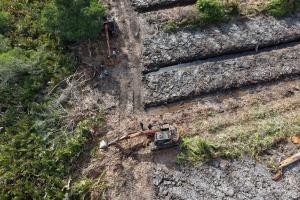 Diduga Dibabat untuk Perkebunan, 100 Hektare Hutan Mangrove di Rohil Kini Diselidiki Polisi