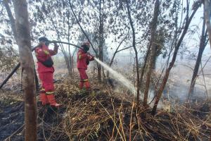Semester Pertama 2026, Karhutla di Riau Mencapai 15.477 Hektare
