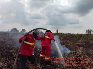Riau Fokus Pencegahan Karhutla, Forkopimda Terbitkan Maklumat Berisi 6 Penekanan