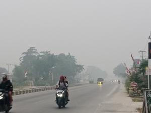 Disdikpora Kuansing Keluarkan Edaran PJJ Imbas Kabut Asap