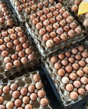 Bahan Pokok Harga Terjangkau, Operasi Pasar Murah Hadir di 5 Titik Pekan Ini